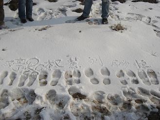 在雪地上留下每个人的脚印
