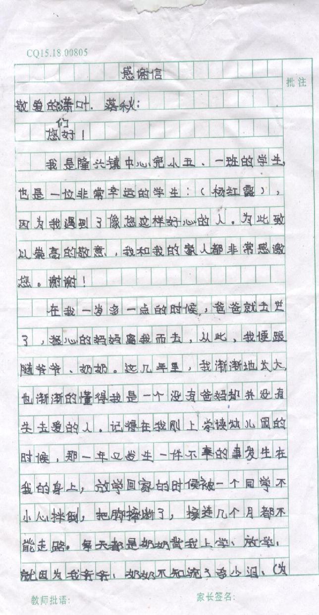 杨红霞1.jpg