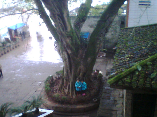 IMG0506A.jpg