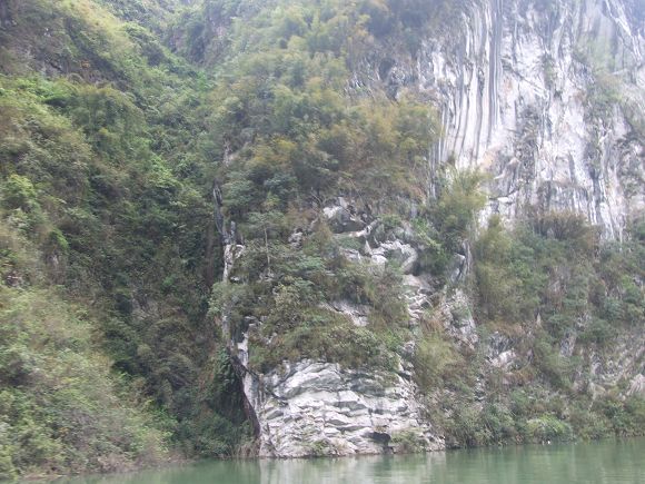 DSCF0620.JPG