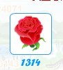 1314玫瑰.jpg