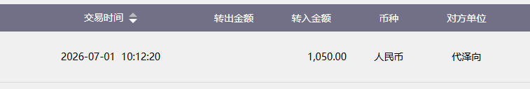 代泽向.png